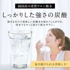 聖者の炭酸【純国産】重曹クエン酸水用 食用重曹×食用クエン酸 各30包の画像