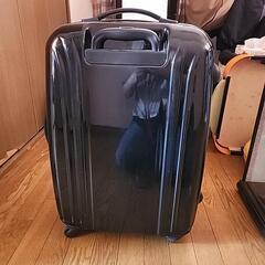 キャリーバッグの画像