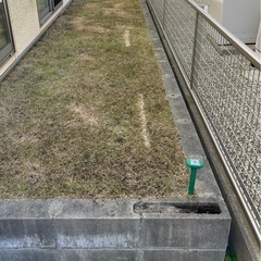 芝刈りお任せください。知多半島の便利屋ハートフル - 常滑市