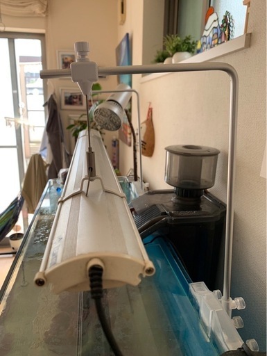 海水　水槽　最終値下げ