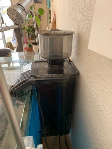 海水　水槽　最終値下げ