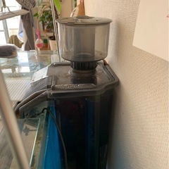 海水　水槽　最終値下げの画像