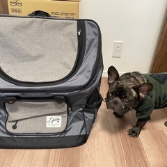  ドッグキャリーバッグ キャリーケース 2WAY 犬キャリーバッグ 犬用キャリー ペットバッグ 小型犬 中型犬 猫 キャリーバック 耐荷重 15kg メッシュ窓 災害 通院 お出かけ ペット用品 LIFELIKEの画像