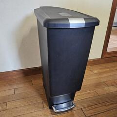 simplehuman スリムステップダストボックス 40L インテリア雑貨・ゴミ箱 お洒落 シンプルヒューマン


の画像