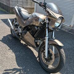 GPX250R改　川越市　現金払いでお願いします
