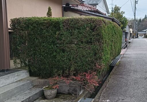 ゼノア　エンジンヘッジトリマー　稼働品