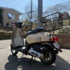 受け渡し決定　HONDA AF61 トゥデイの画像