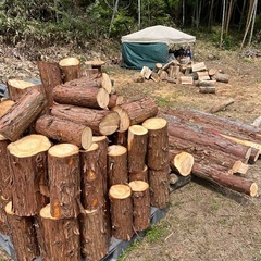 薪　原木　お好みのサイズにカットしますの画像
