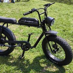 電動アシスト自転車