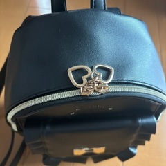 今年購入　リュックの画像