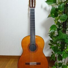 越谷・八潮でサイドギターを募集