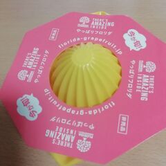 グレープフルーツ搾り