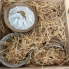 （信楽焼）茶器セット