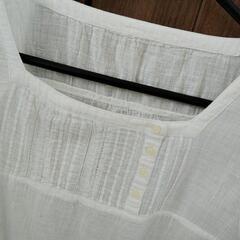 dnracineの画像