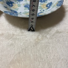 Teien FINE CHINA カレー皿2枚セットの画像