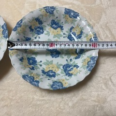 Teien FINE CHINA カレー皿2枚セットの画像