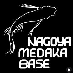 4/6日•7日(日•月)春のめだか上物市開催‼️♢名古屋改良メダカ直売所♢ - 地元のお店