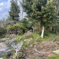 日本庭園の画像