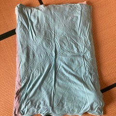 サンデシカ　ベビー掛け布団の画像