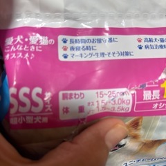わんちゃん🐶マナーウェア長時間快適オムツの画像