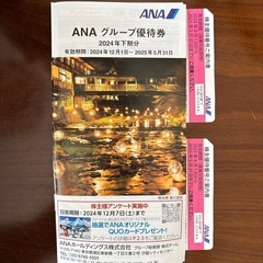 ANA株主優待2枚+冊子