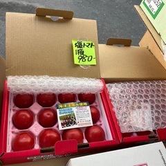 【残1】高糖度フルーツ塩トマト🍅入荷しました！
