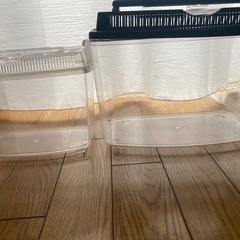 虫かご