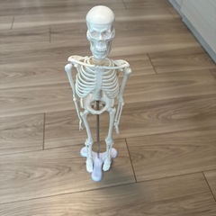 人体模型ミニ