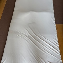 トゥルースリーパー