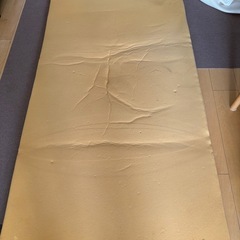 トゥルースリーパーの画像