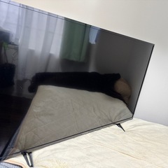 【50V】4K液晶テレビ