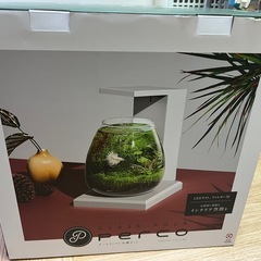 GEX オールインワン水槽　percoの画像