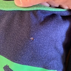 プーマの長袖トレーナーと半袖Tシャツ5枚の画像
