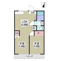 💙💜フリーレント1ヶ月付き💜💙駐車場空きあり🚗✨姫宮駅徒歩8分🎶南向き🌞46.64㎡の2LDKです😍💕の画像