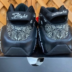 愛品館江戸川店】ナイキ エア ズームフライト 95 