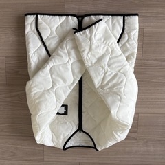 西武ライオンズ　入場記念品コート