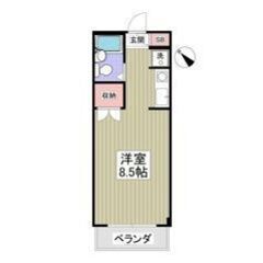 💙💜フリーレント1ヶ月付き💜💙賃料43,000円🎶南西向き✨大泉...