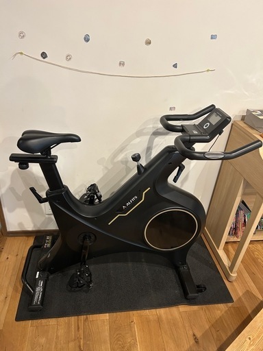 スピンバイク、エアロバイク、フィットネスバイク、アルインコ、BK1621