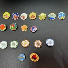 採集地情報付 オオクワガタ山梨産ペア 採集のコツ 自己採集個体