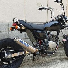 更新✰エイプ50✰AC16✰人気キャブ車✰4ミニの画像