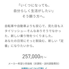 電動シニアカー/試し乗りのみの画像
