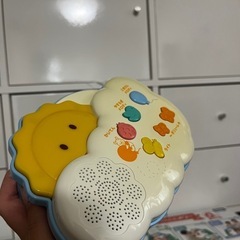 プーメリー　の画像