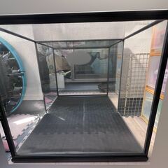 ガラスケース