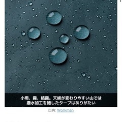 ワークマン　タープの画像