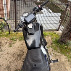 エリミネーター250seの画像