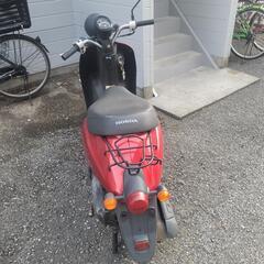 ホンダ today af67の画像