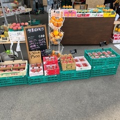 全国各地の美味しい🍓集めました✨¥480〜