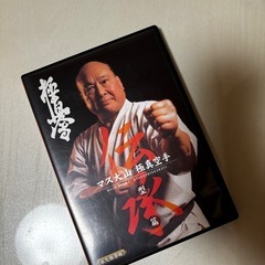 極真空手DVD