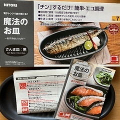 電子レンジで魚が焼ける　魔法のお皿