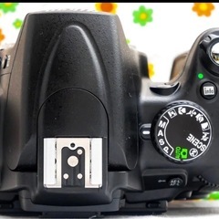 Nikon D5000の画像